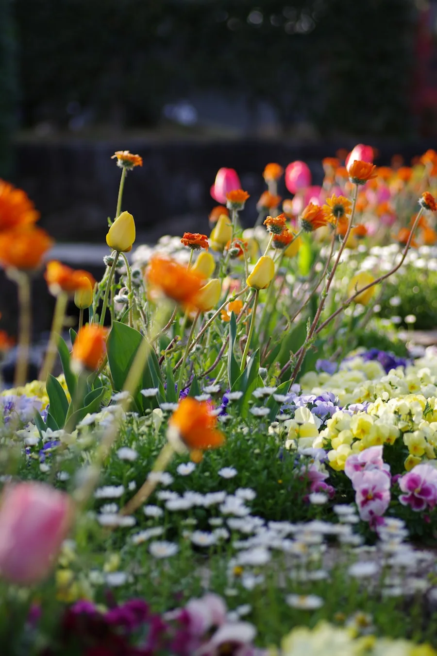 Flores de temporada en jardines de Valencia